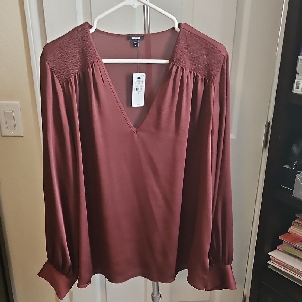 Express V-Neck Blouse
